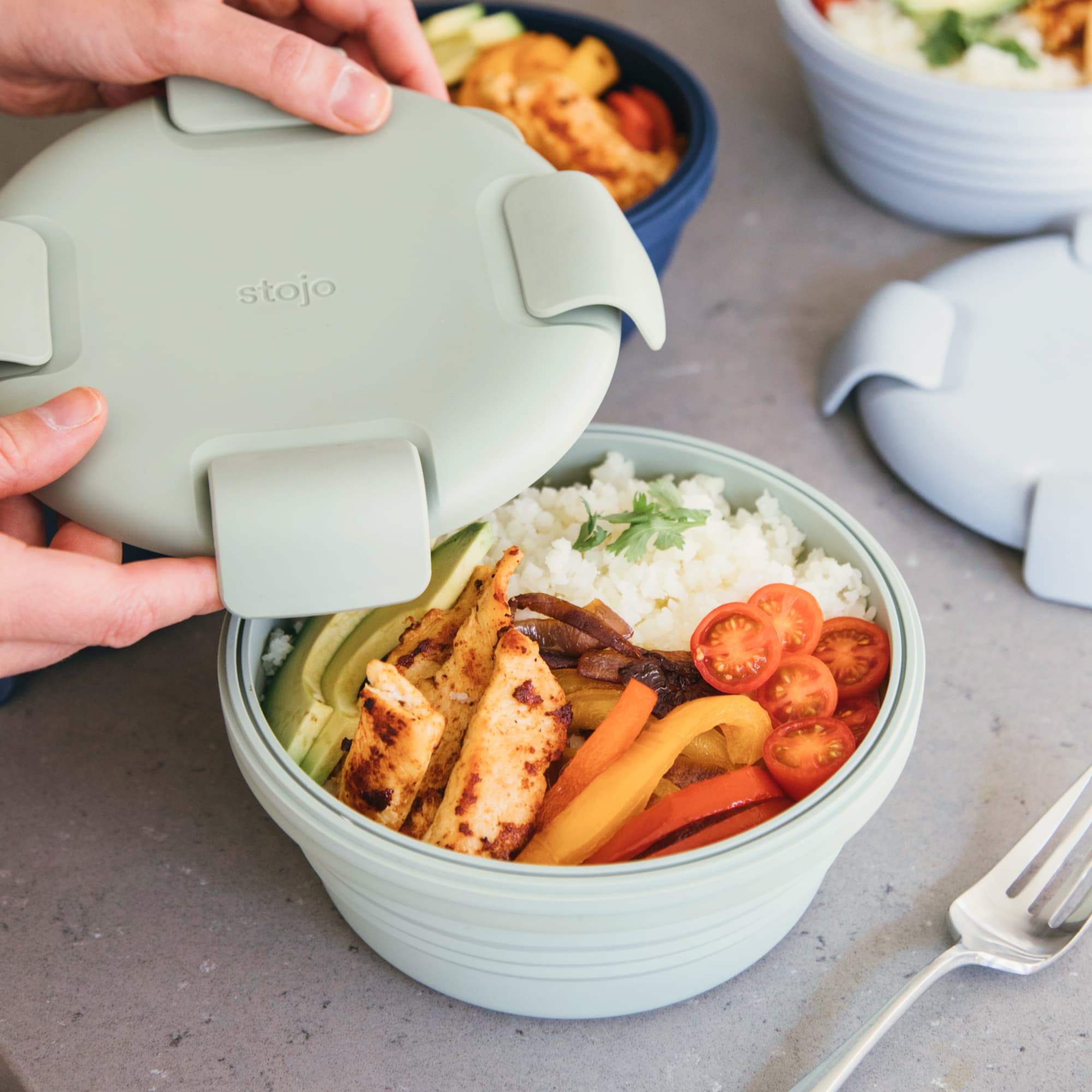 Stojo collapsible lunch box and bowl review - Reviewed