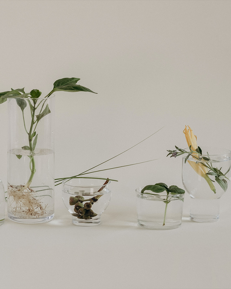 Herbal Must-Haves <br> for Hitting The Road