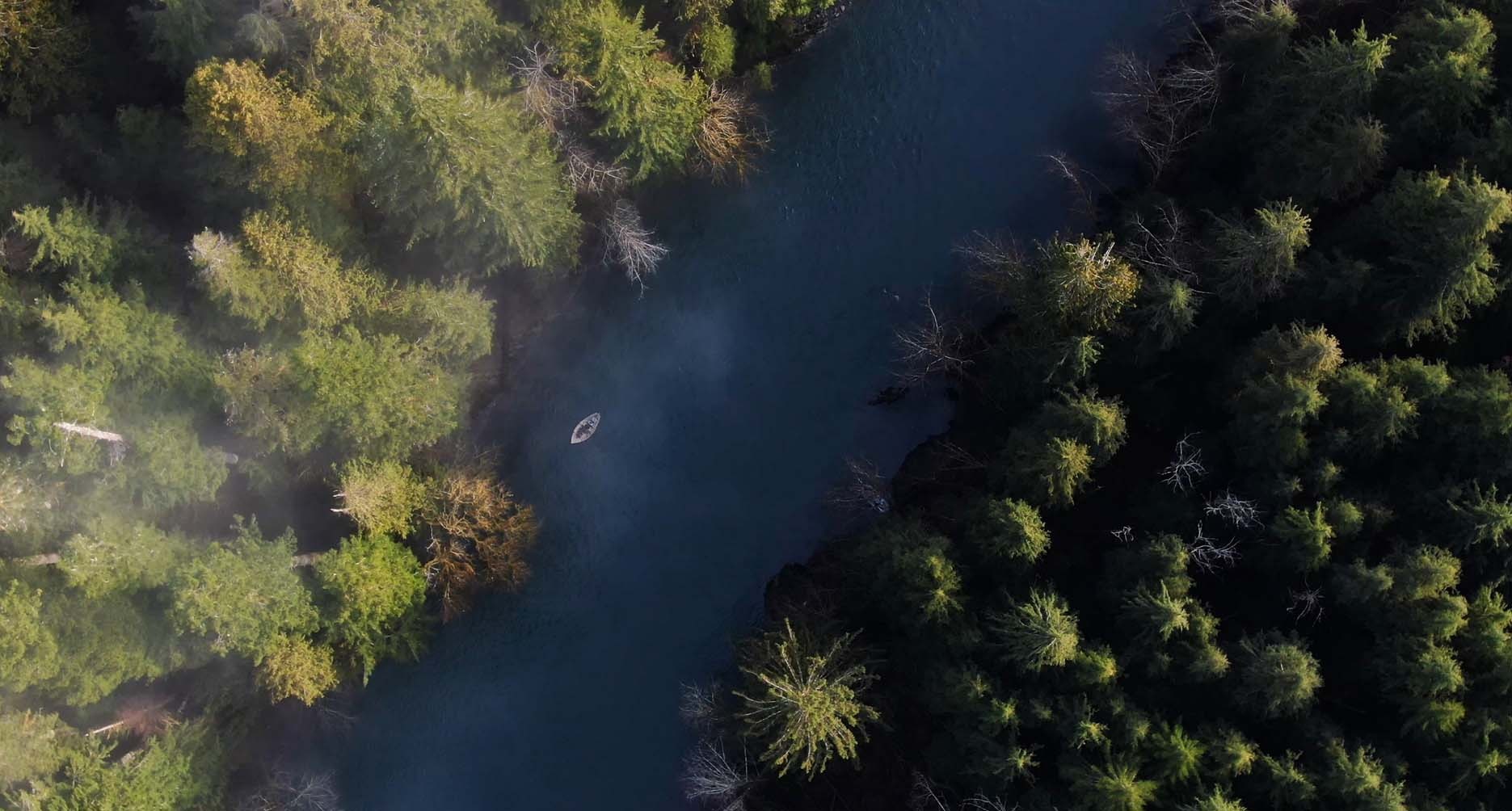 Blue river in a forest of green trees from above