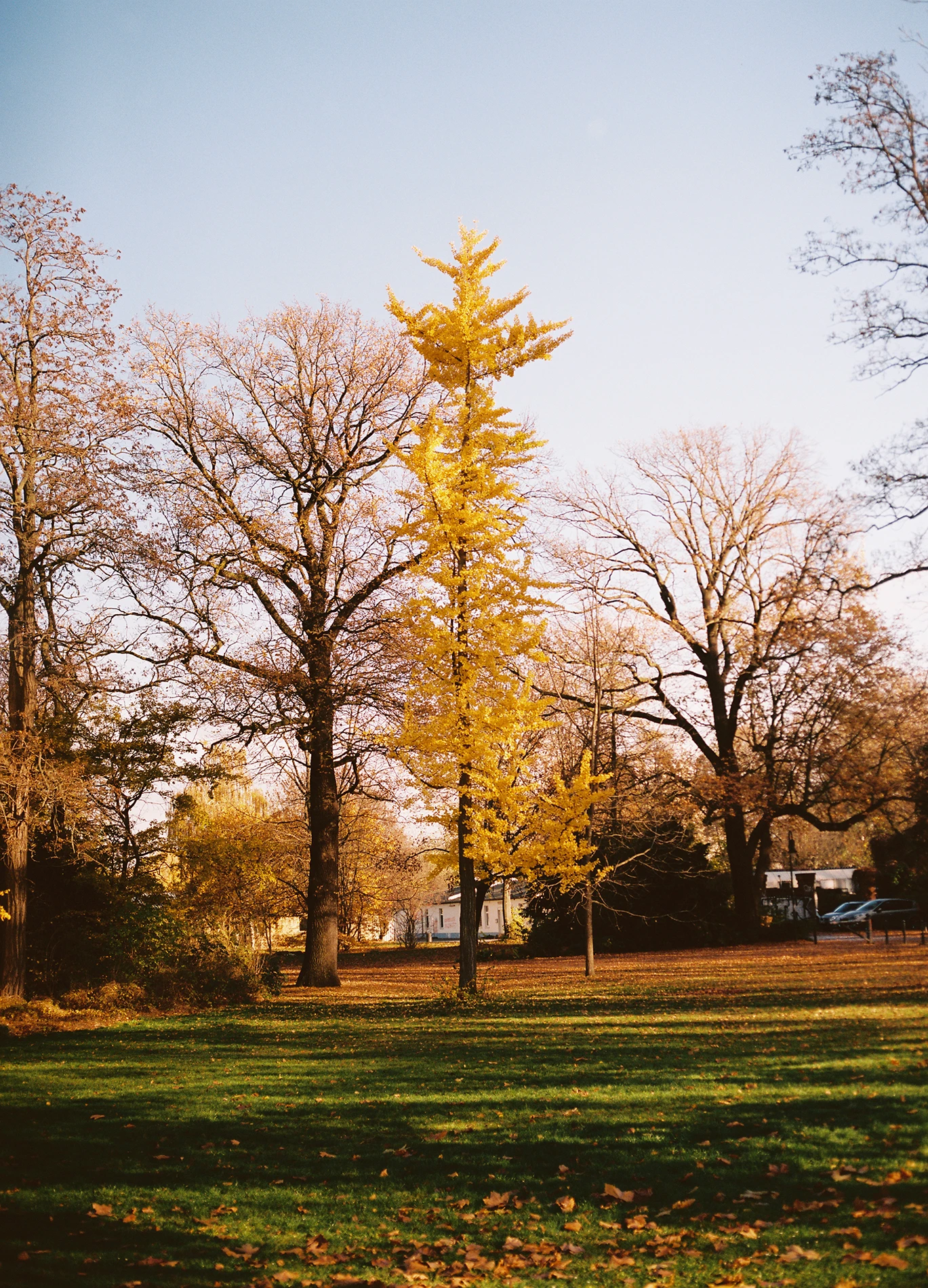 Kodak Portra 400 Photo