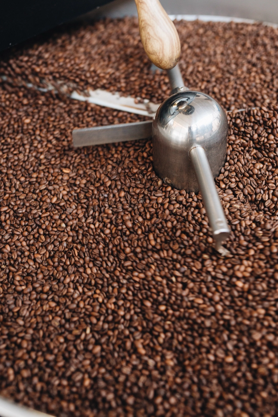Berlin Coffee Roastery