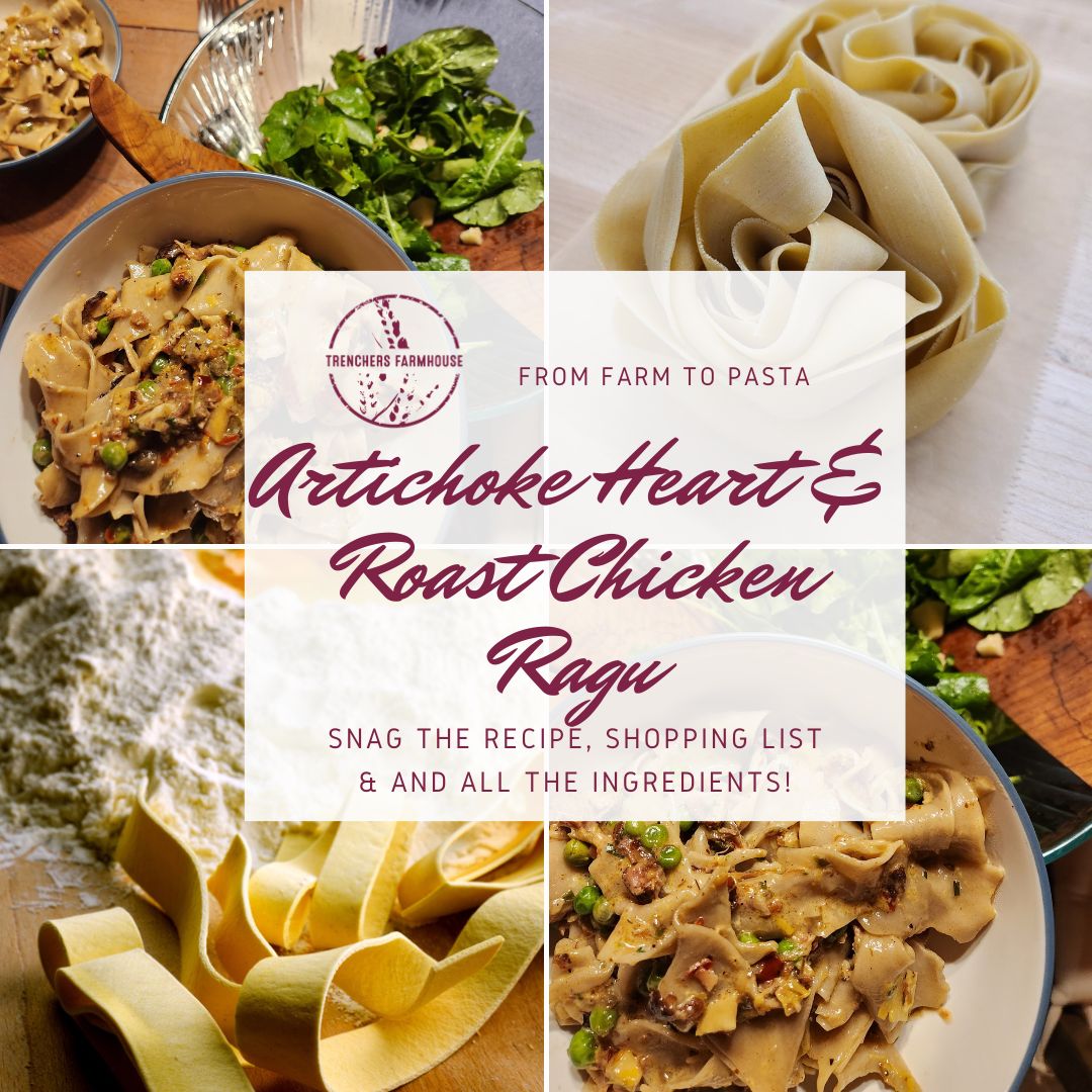 Artichoke heart & chicken ragu recipe. Fresh pappardelle pasta recipe. farm to table. 