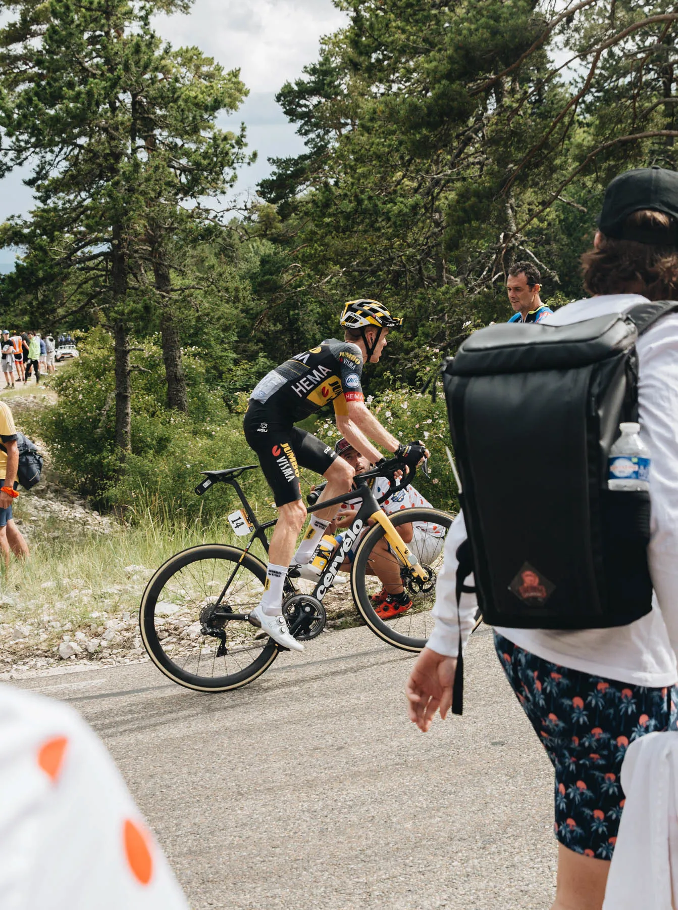 Cycling Mont Ventoux - Tour de France