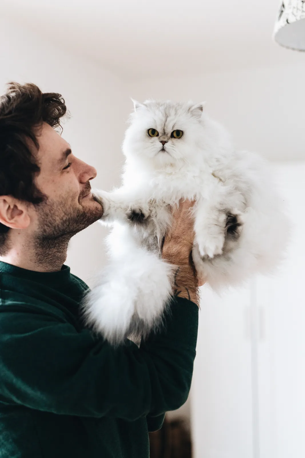 Gökhan Kutluer and His Cat Named Zelda