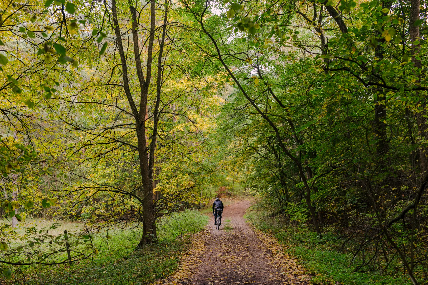 Gravel Trails in Germany