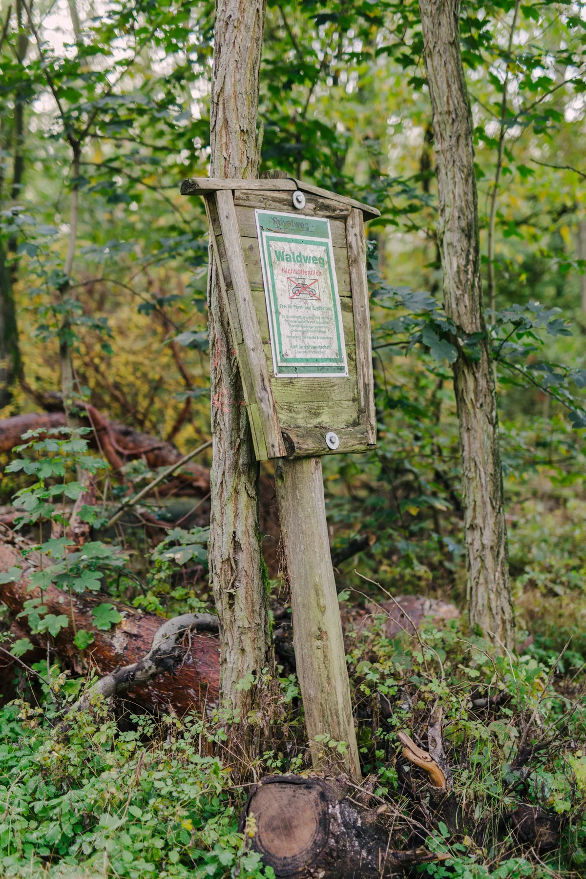 Waldweg