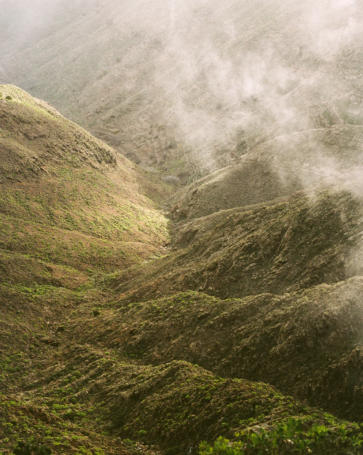 Lanzarote Landscape
