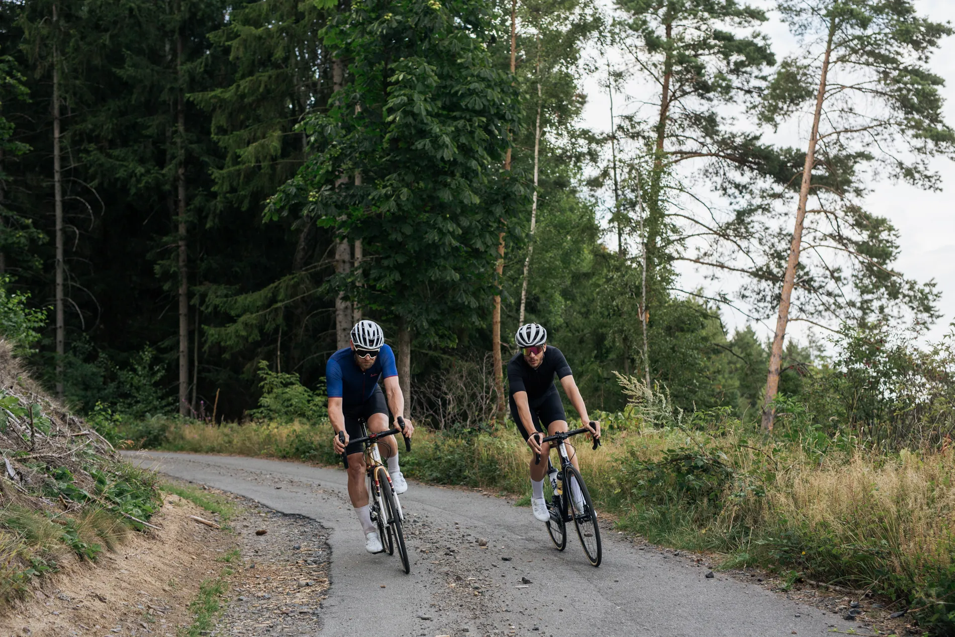 Cycling in Harz