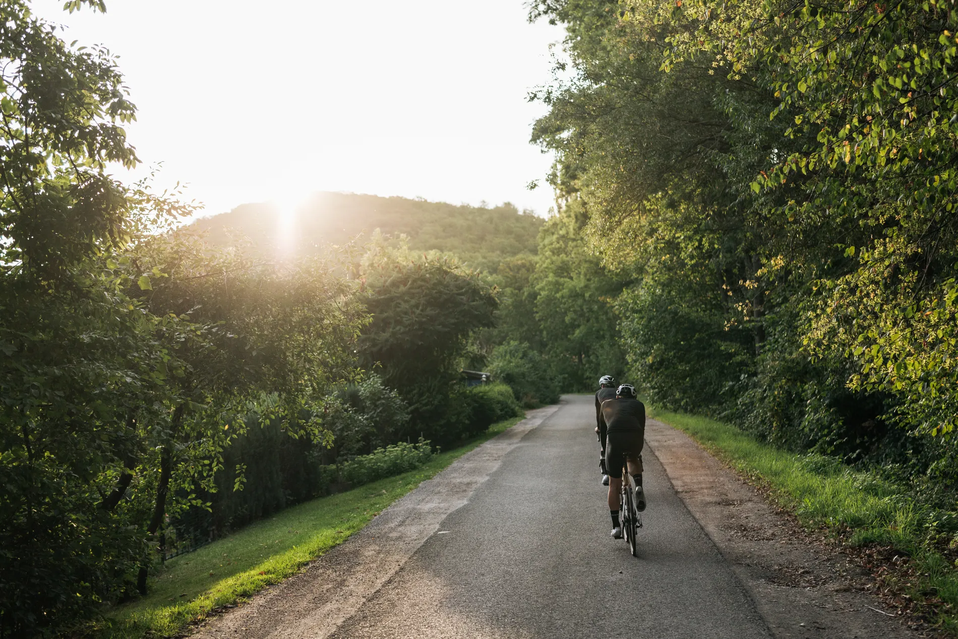 Cycling Roads of Harz