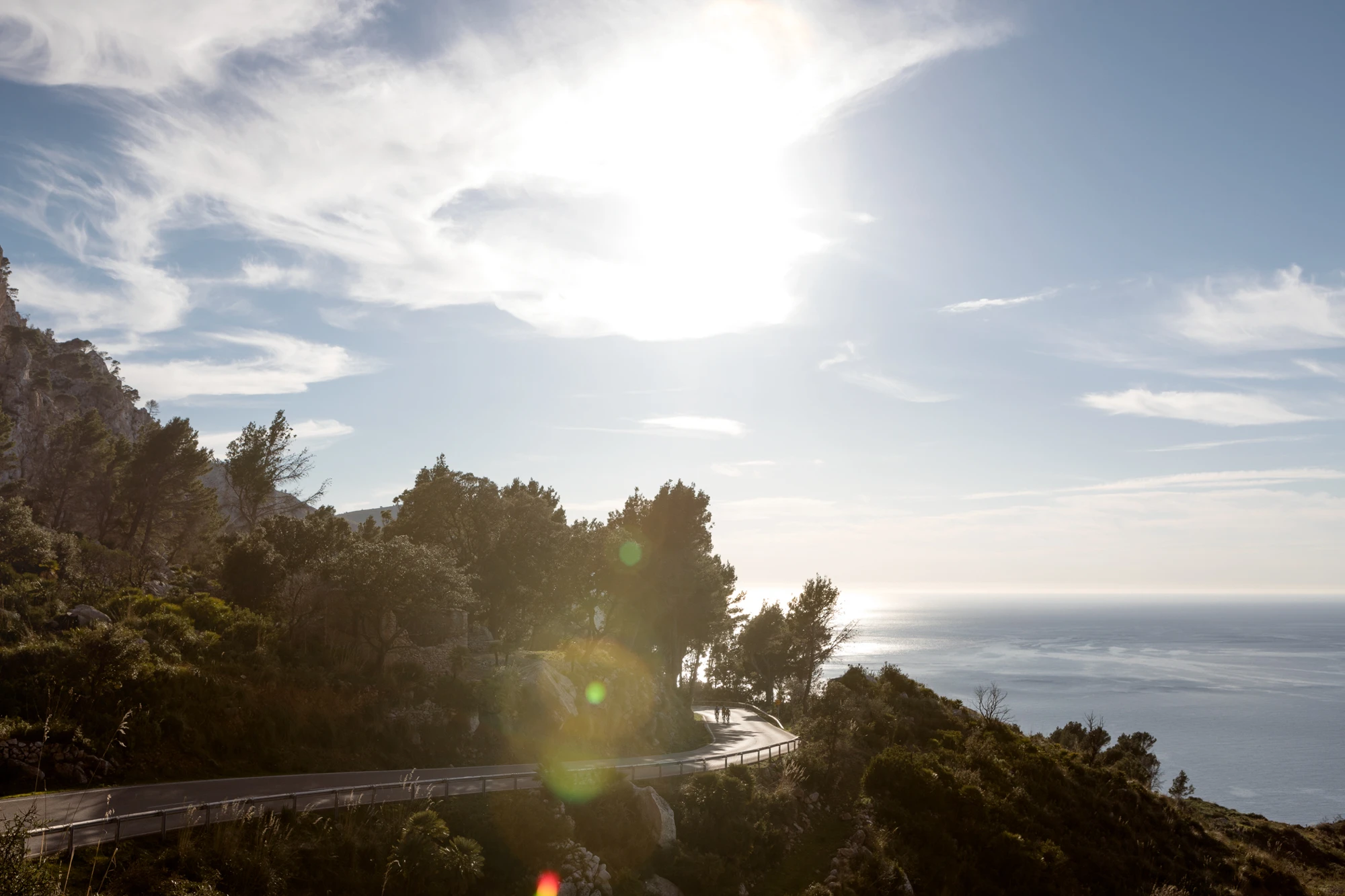 Standert Bicycles Mallorca Landscape