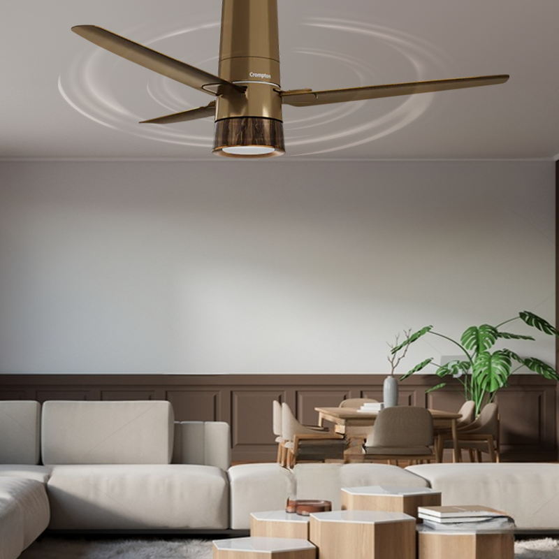 5 Key Questions You Must Ask Before Choosing a Ceiling Fan