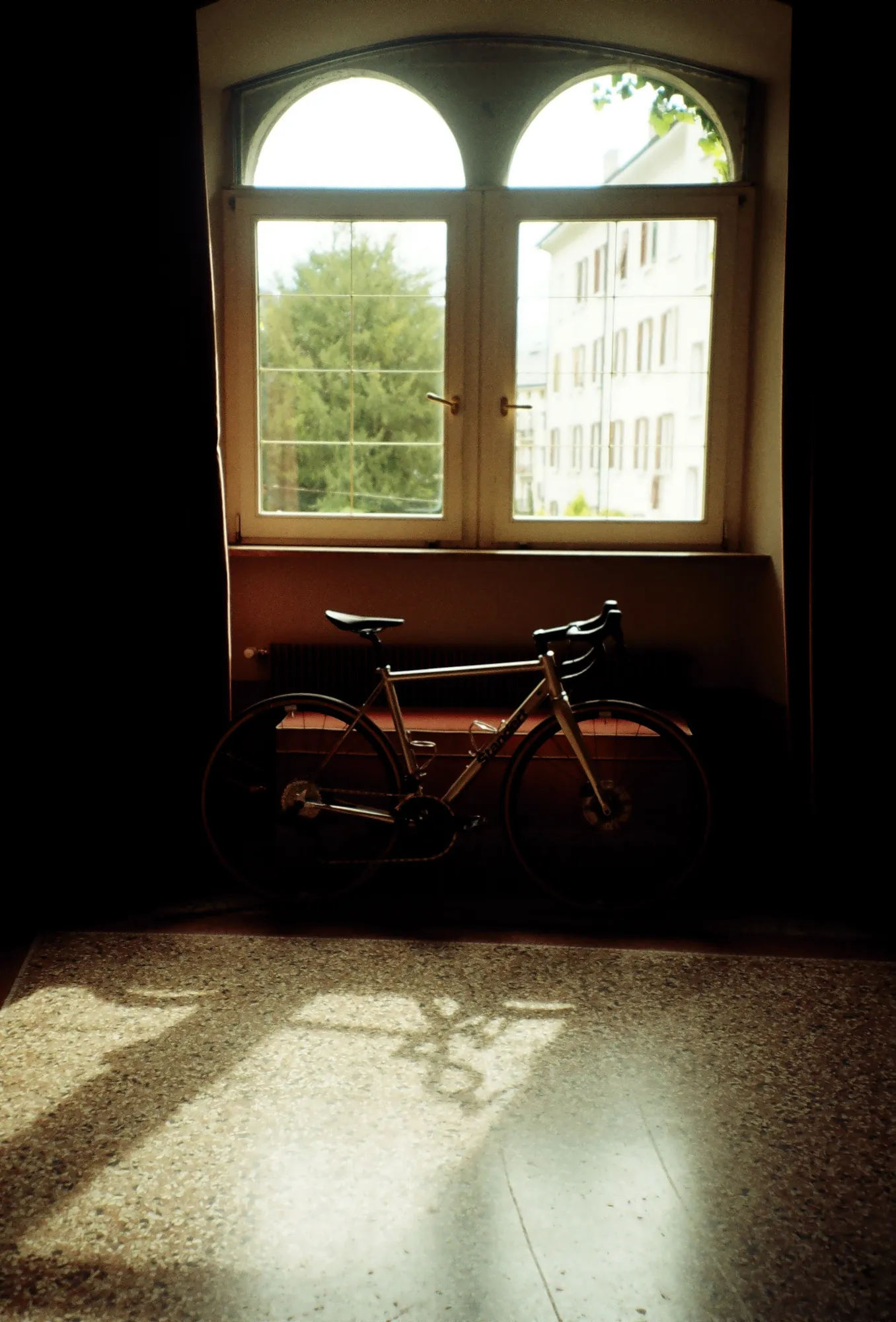 Celia Solf - Standert Journal