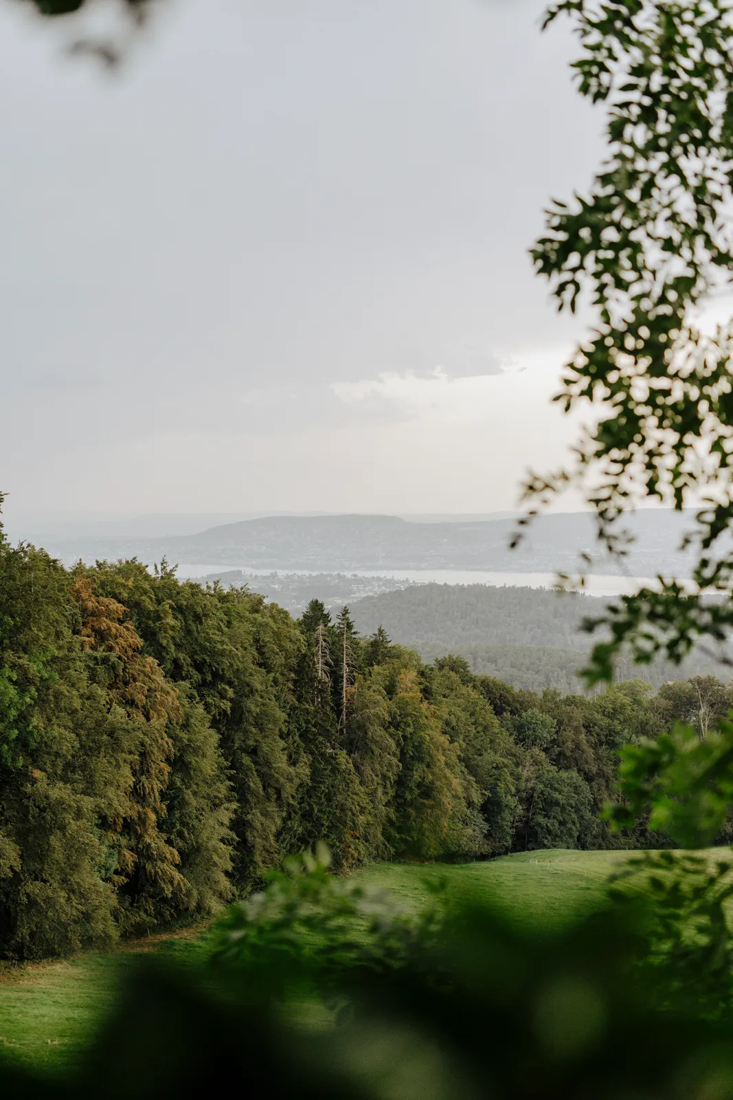 Cycling in Zurich with Triebwerk LTD - The Prince of Zurich