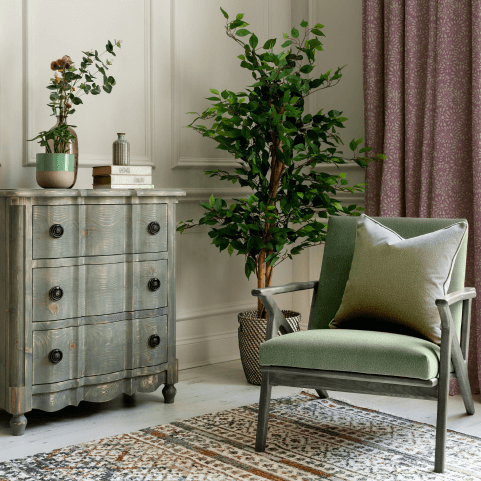 Biophilic Home Décor Ideas for January