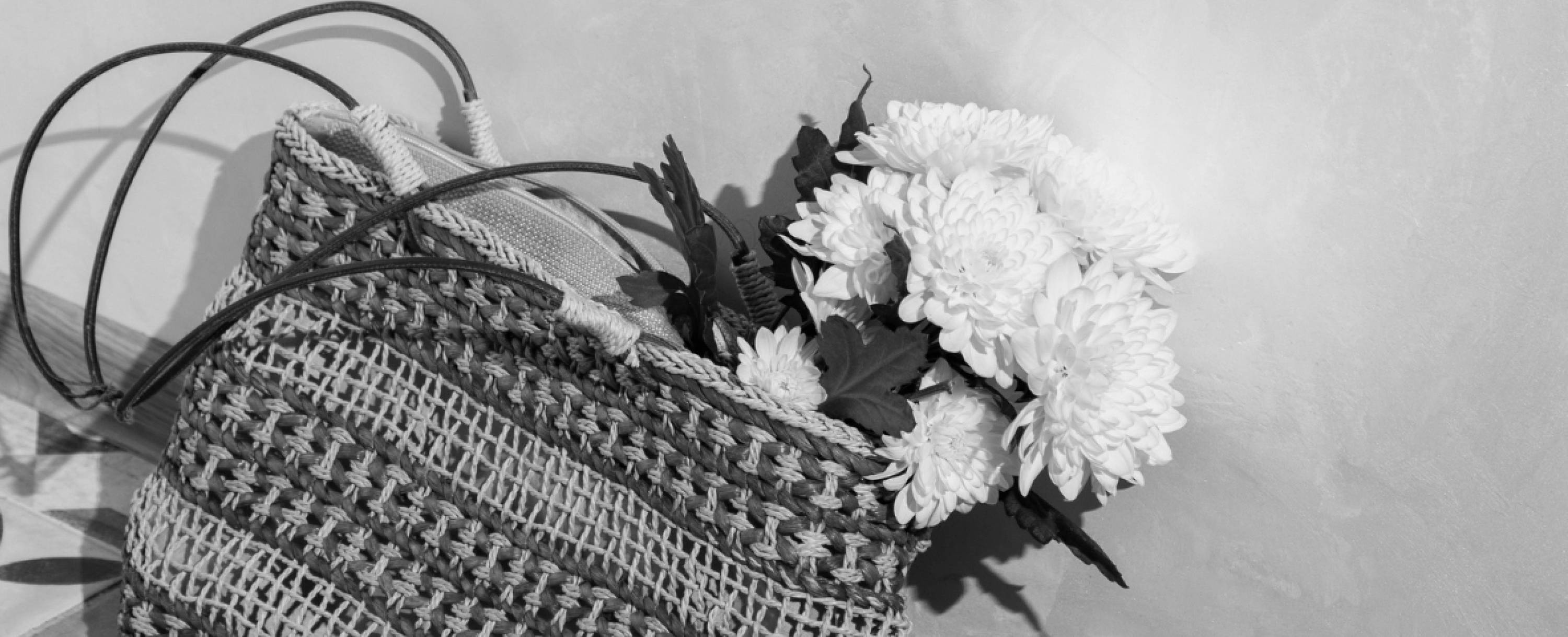 Makro Test Regalo Studios Ltd Vinta Gallery Inc Makro test regalo studios ltd vinta gallery inc