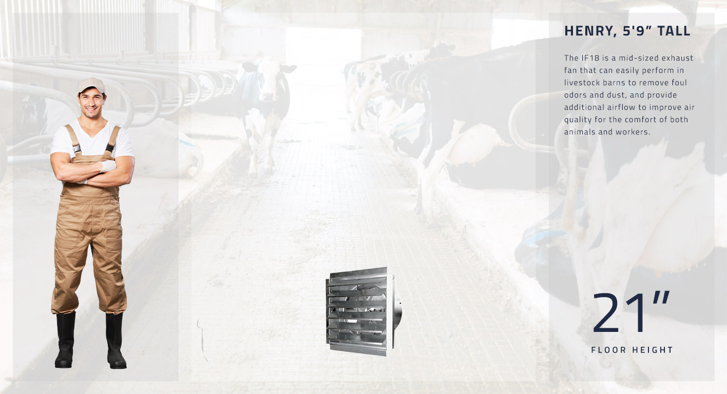 The IF18 is a mid-sized exhaust fan that can easily perform in livestock barns to remove foul odors and dust, and provide additional airflow to improve air quality for the comfort of both animals and workers. This fan measures 21 inches high.