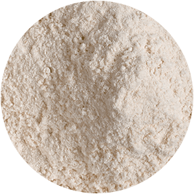 Collagen Protein