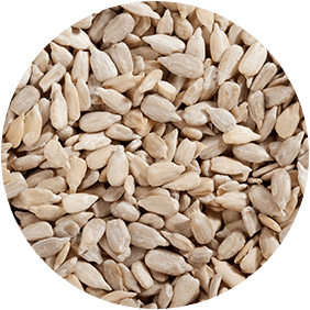 Sunflower Seeds