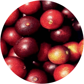 Camu Camu