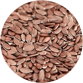 Flax Seeds