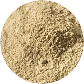 Maca