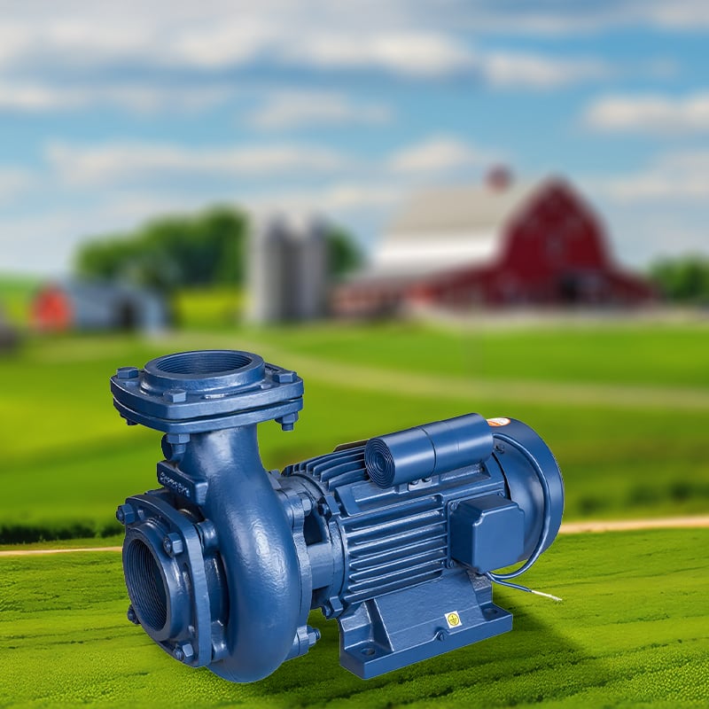 Understanding Cavitation in Centrifugal Pumps: Causes and Prevention