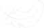 Raegr