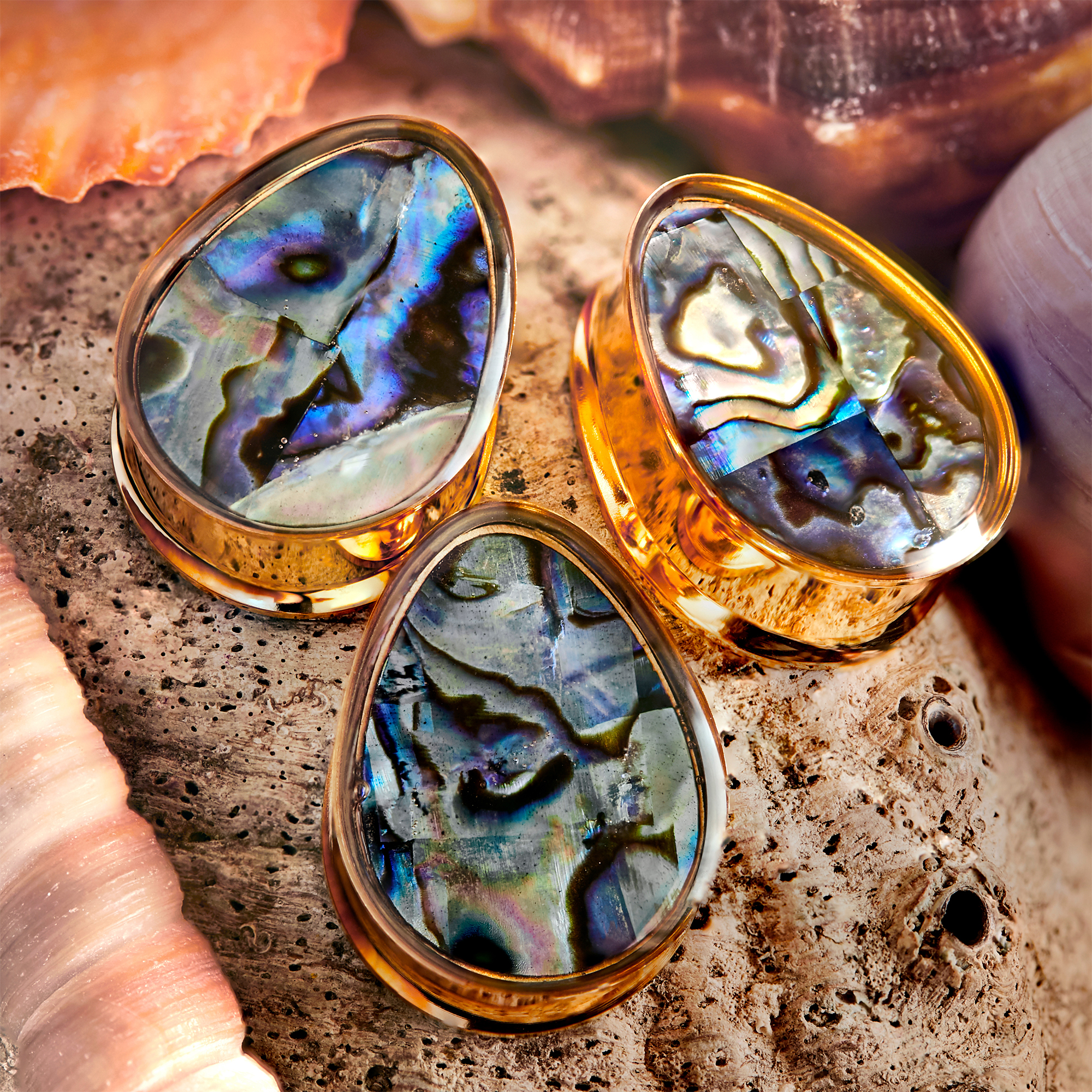  Abalone & Gold Steel Teardrop Plug / gauge