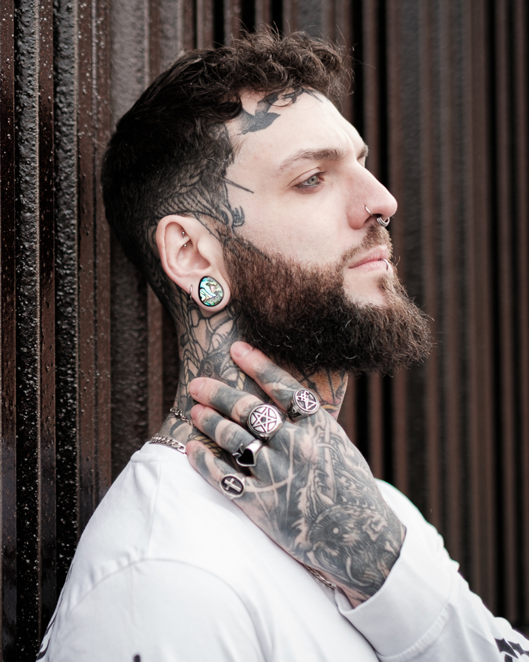 Man wearing alternative  Abalone & Black Steel Teardrop Plug / Gauge
