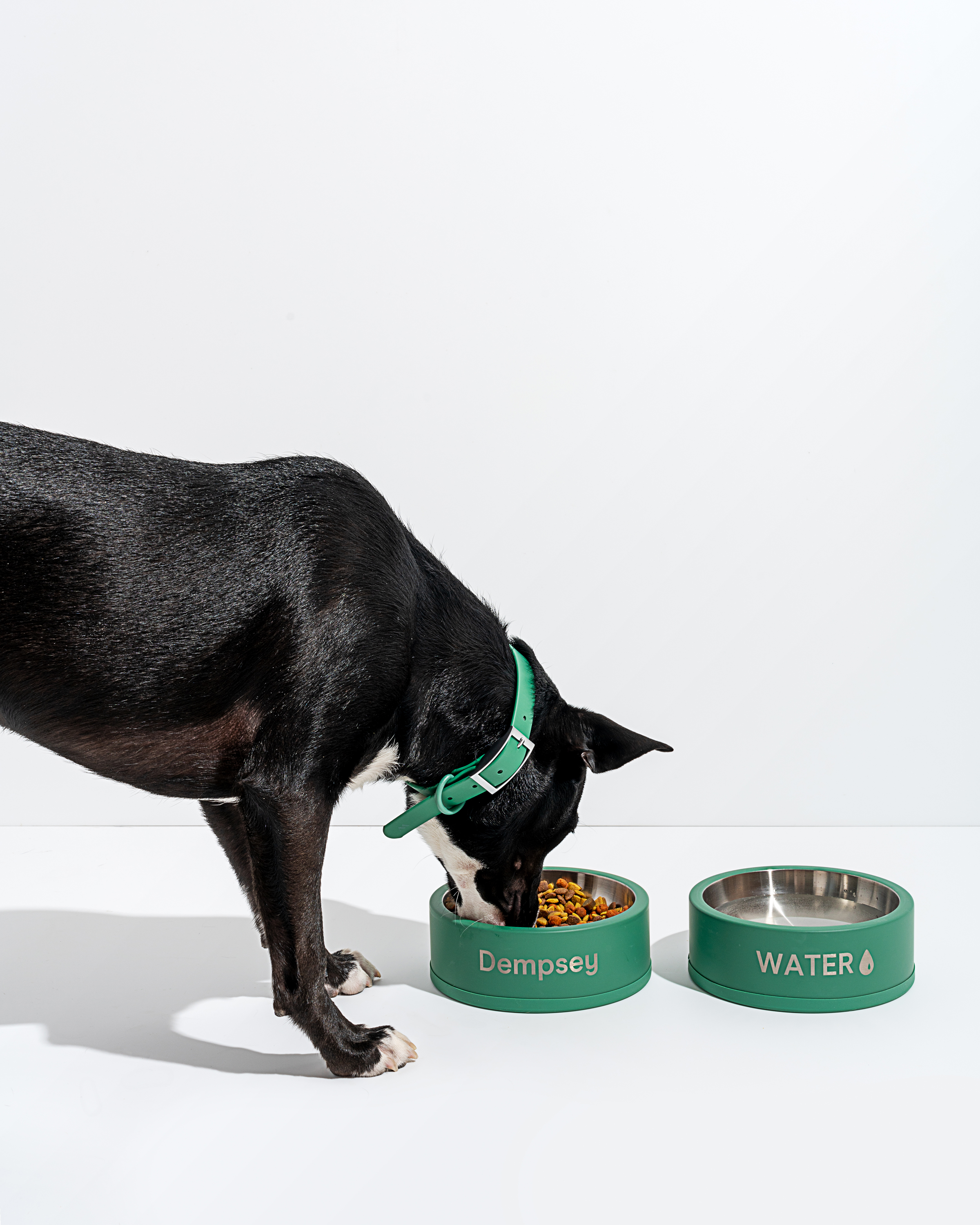 Dog eating out of a personalized set of bowls