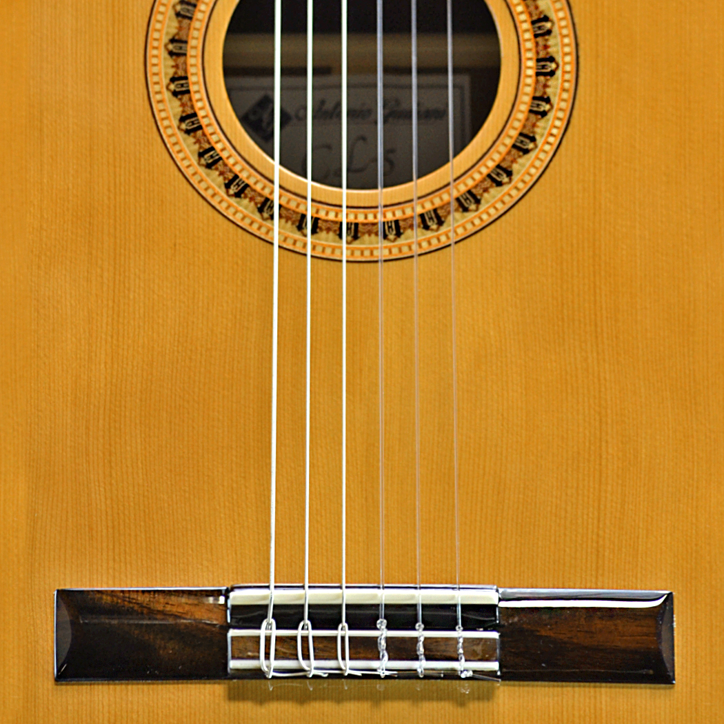Antonio Giuliani CL-5 Mahogany Classical Guitar Outfit in action