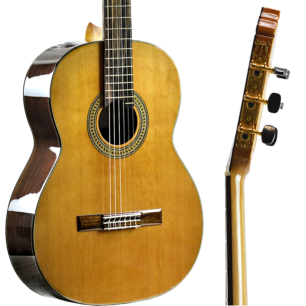 CLEARANCE Antonio Giuliani CL-6  Rosewood Classical Guitar Outfit in action