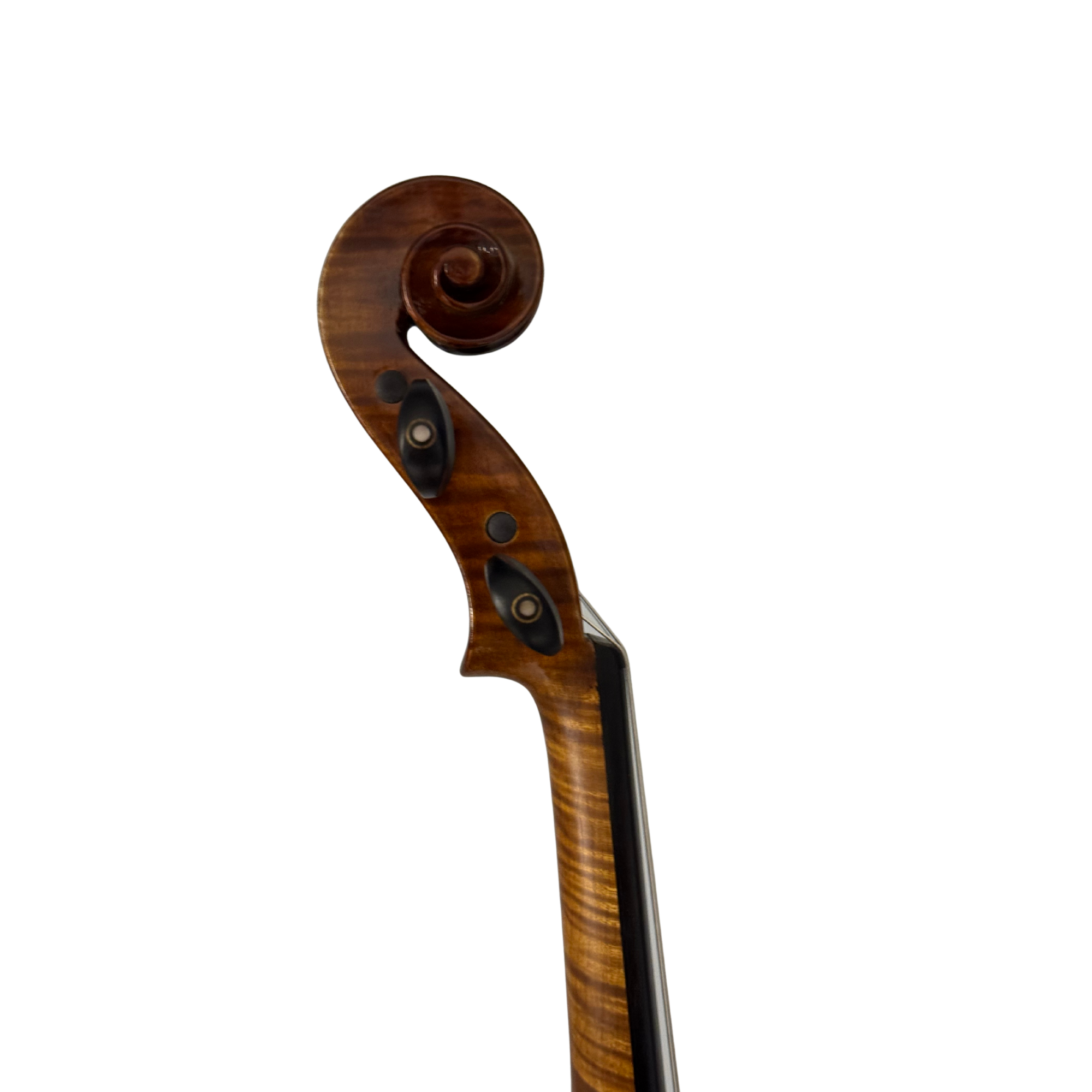Renée Nicolette Violin Outfit in action