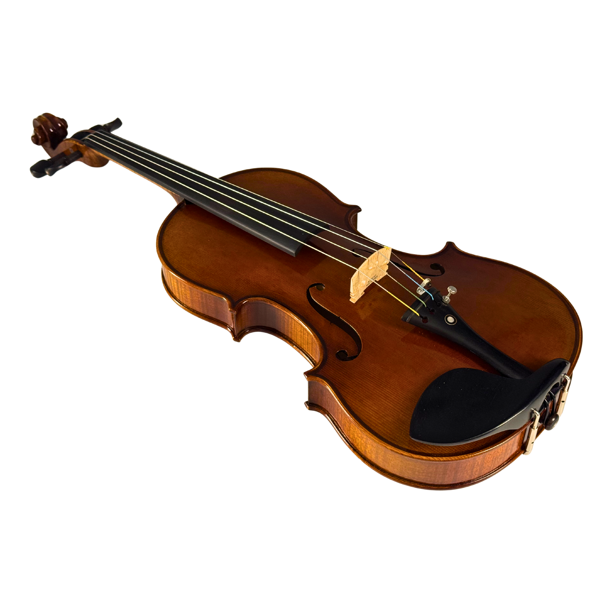 Nicholas Gand Violin Outfit in action
