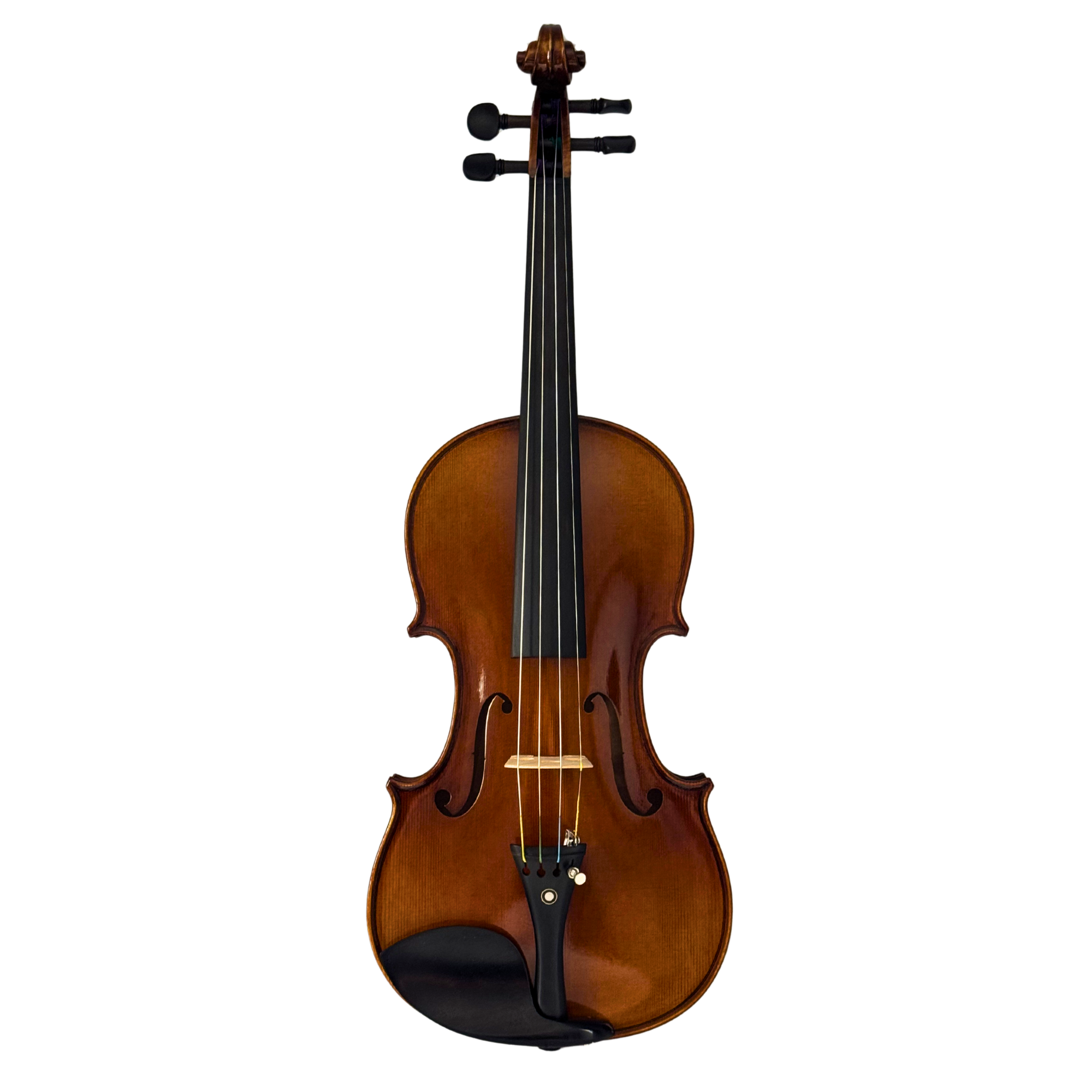 Nicholas Gand Violin Outfit