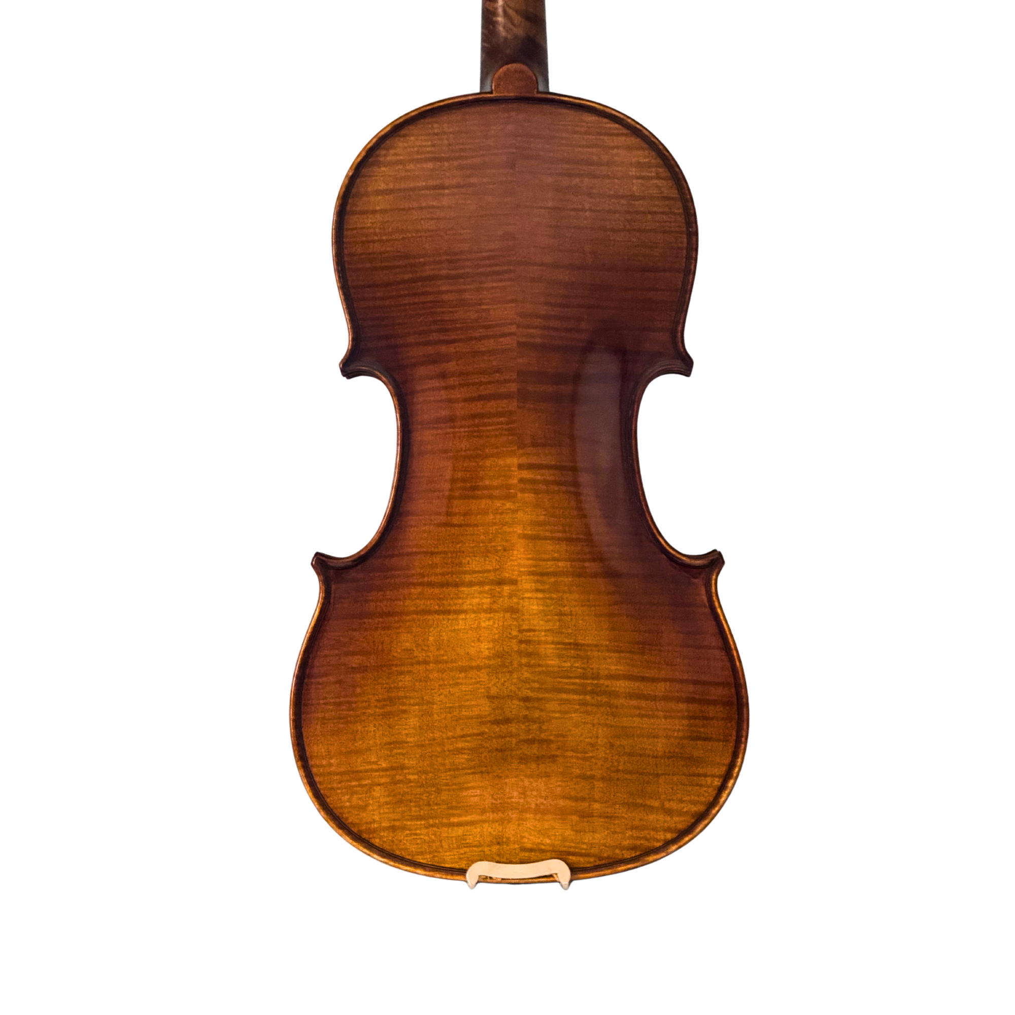 Mikhail Vitacek Violin Outfit