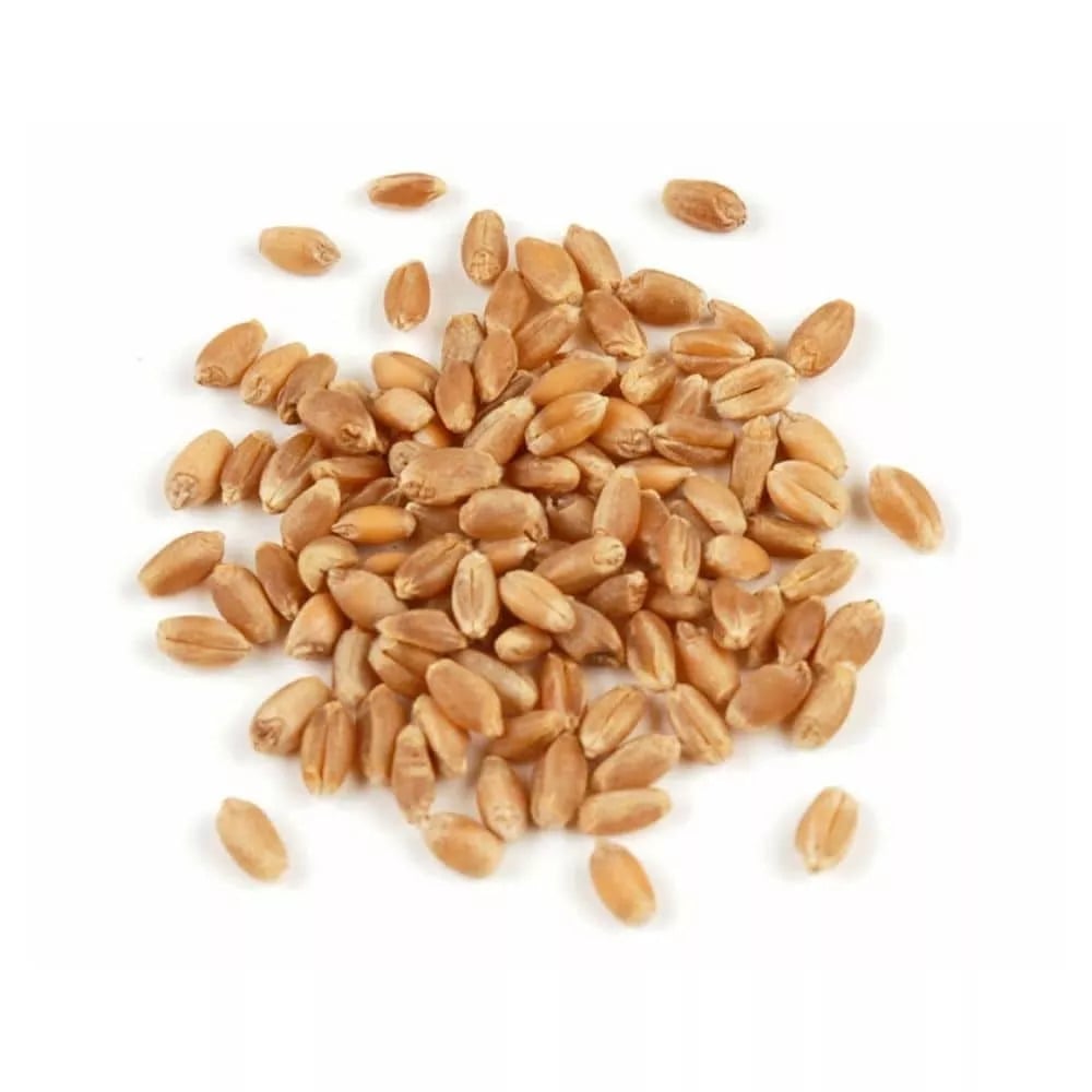 SOFT RED WHEAT BERRIES