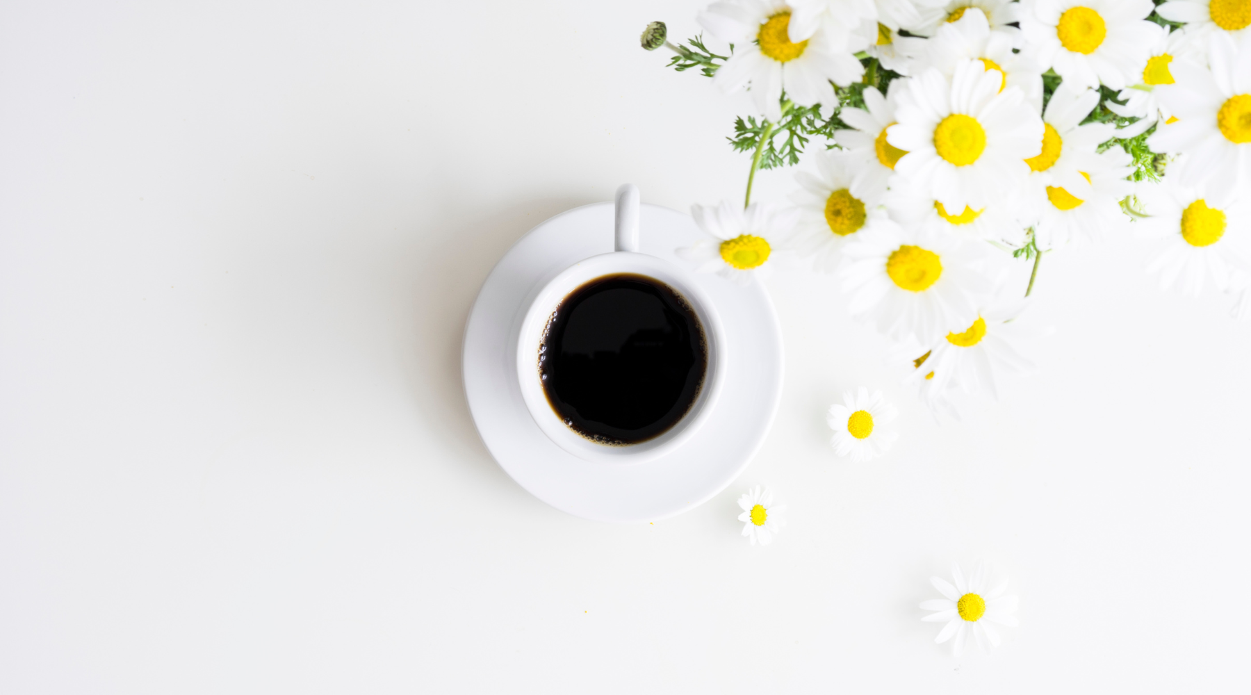 COFFEE ALTERNTIVES FOR A HEALTHIER, ENERGIZED LIFESTYLE
