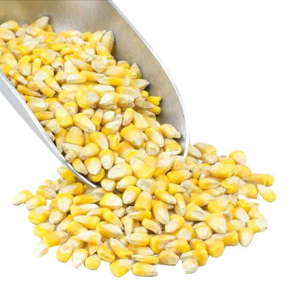 ORGANIC WHOLE CORN