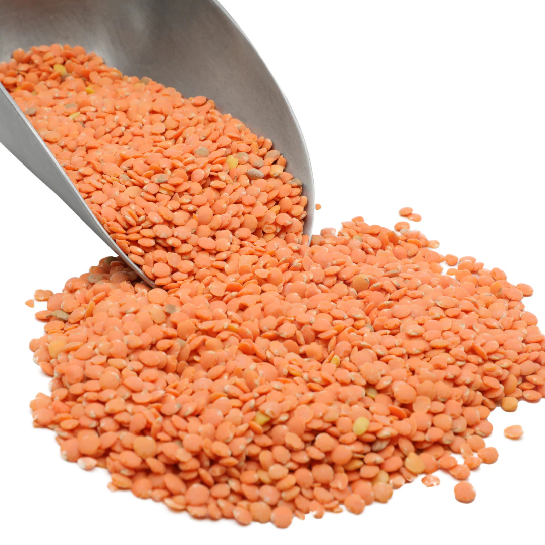 LENTILS