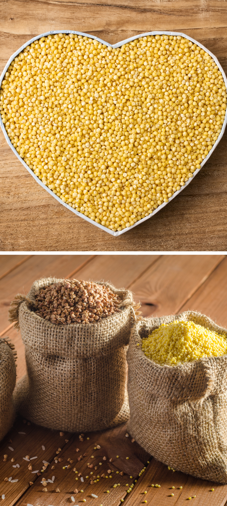 MILLET NUTRITION