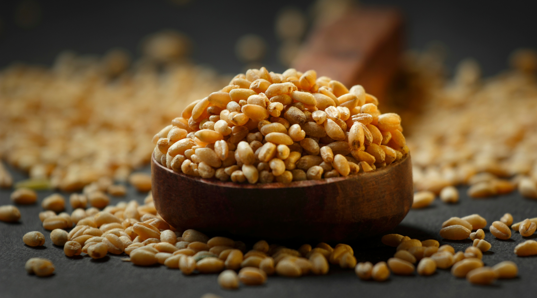 DIFFERENT TYPES OF WHEAT BERRIES AND HOW TO USE THEM