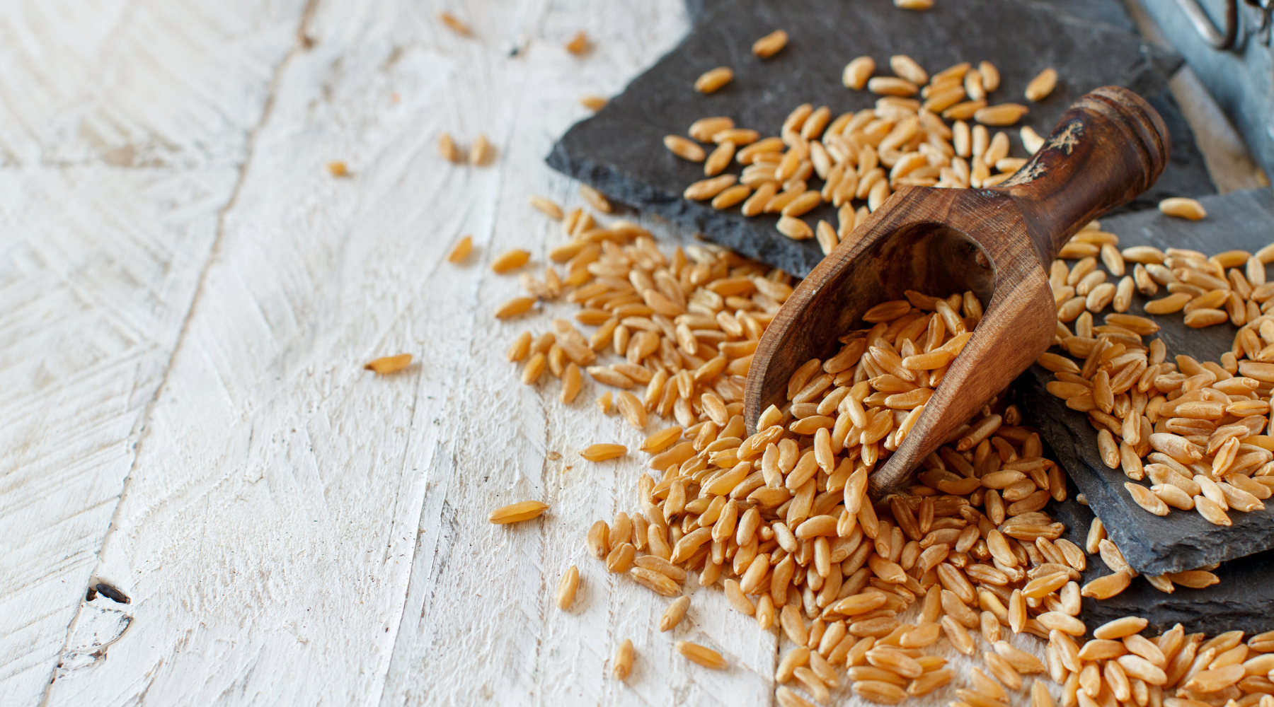 KAMUT: WHY YOU NEED THIS ANCIENT GRAIN ON YOUR PLATE