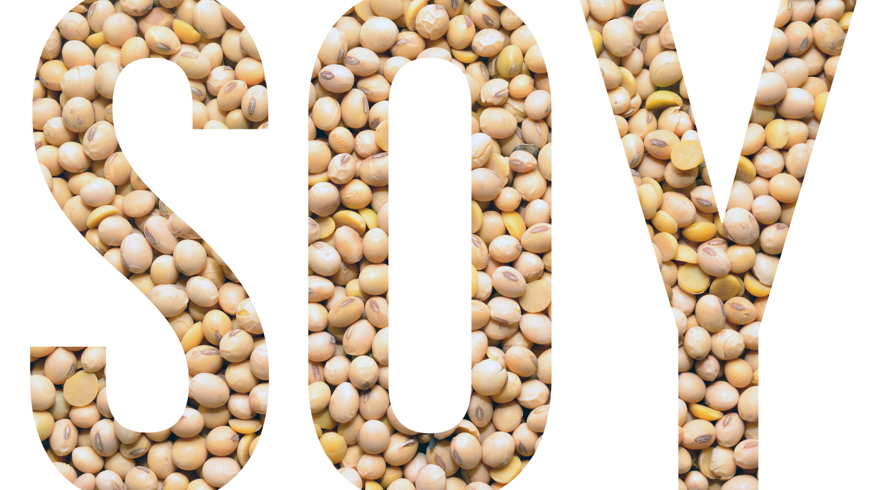 ARE SOY FOODS HEALTHY? LET'S DISCOVER THE TRUTH!