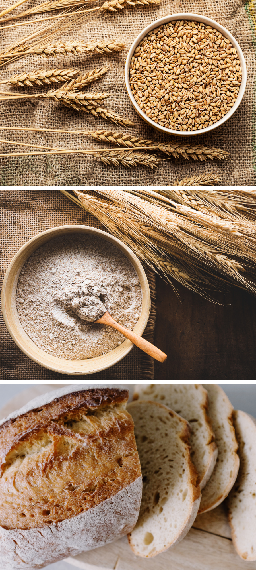 A Small Kitchen Shift That Became a Healing Story