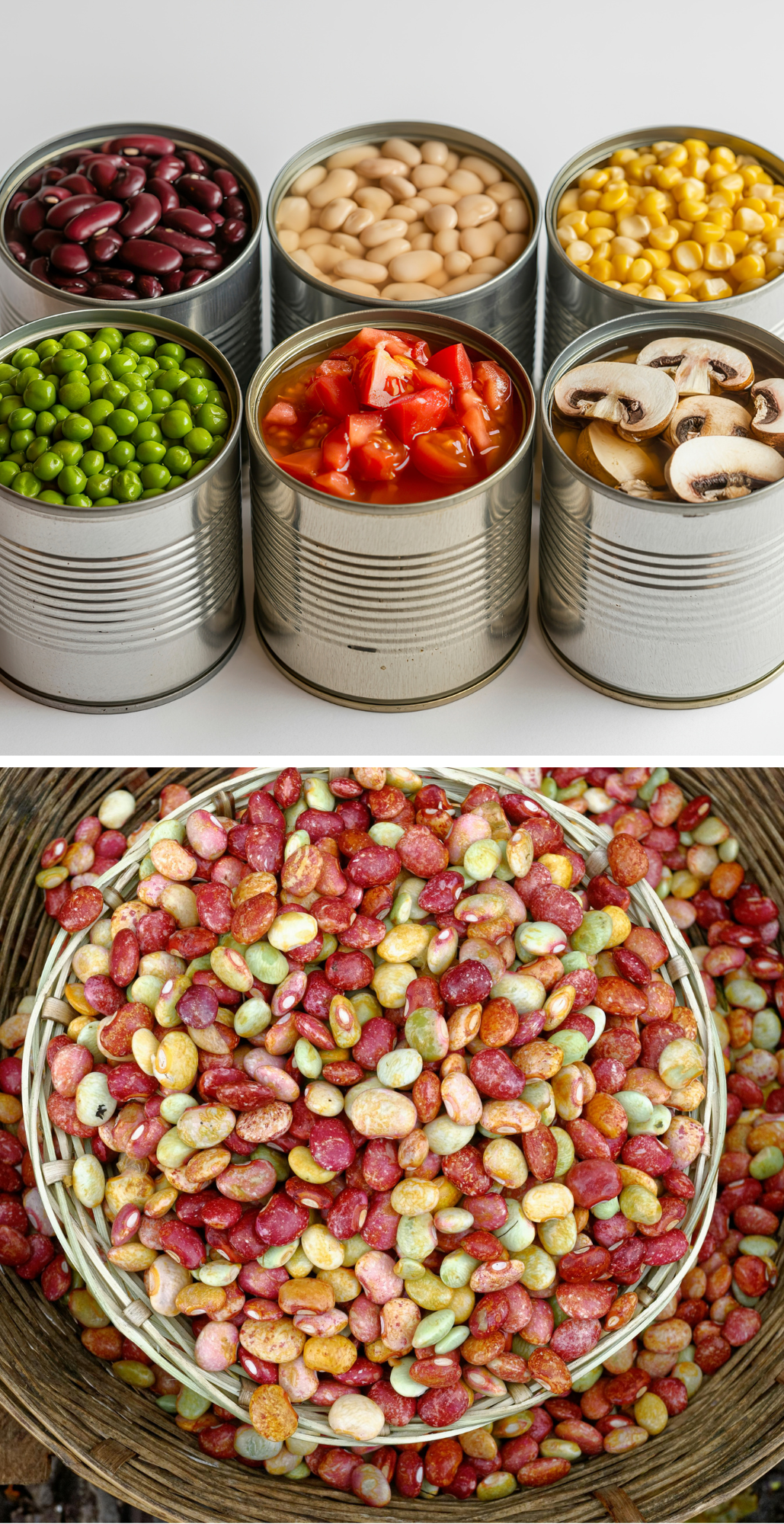 are canned beans less nutritious than dried beans?