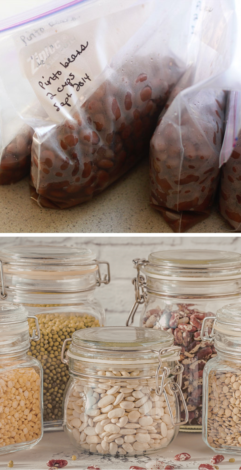 freezing and storing