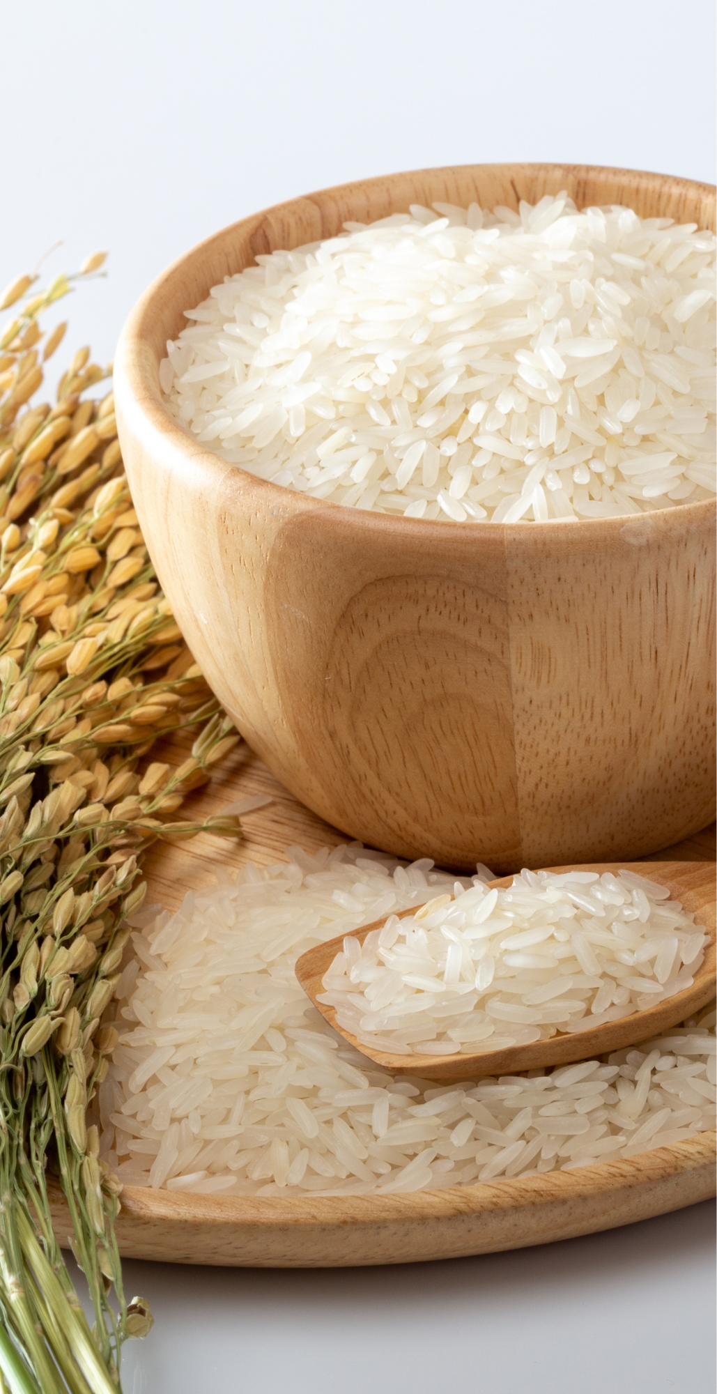 jasmine rice: white & brown