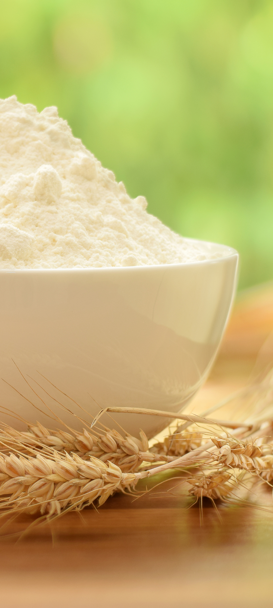 How Is Glyphosate Free Different From Organic or Non-GMO?