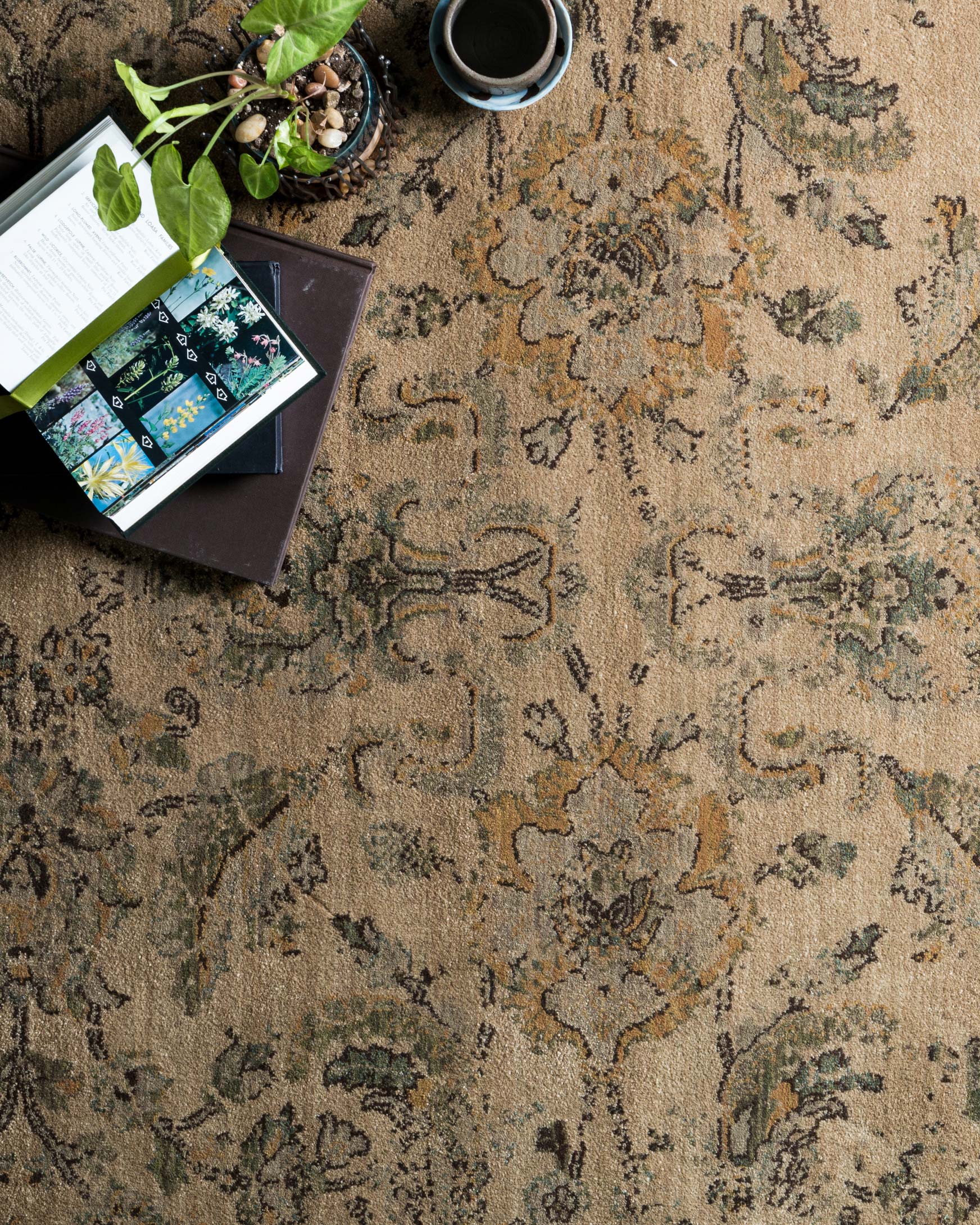 STANLEY & Loloi Rugs